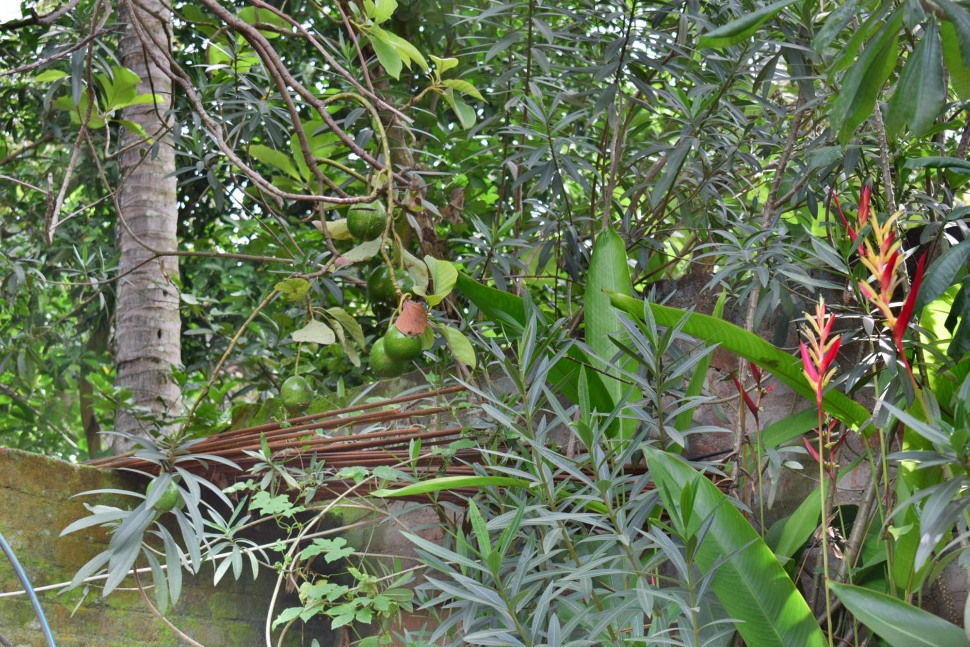 Silent Waters Resorts Yelagiri Exterior foto