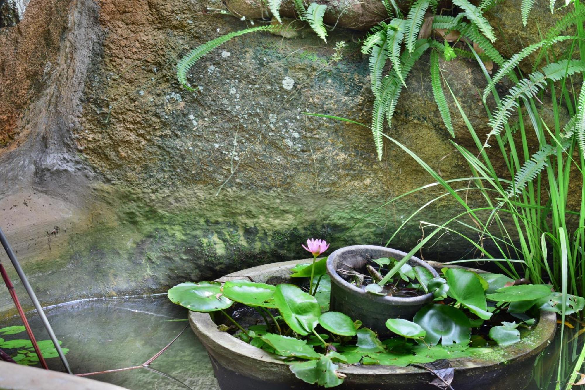 Silent Waters Resorts Yelagiri Exterior foto